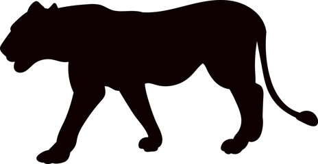 lioness silhouette vector on white background