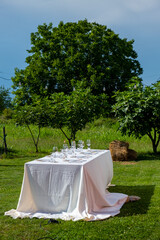 An elegantly set wedding table with a white tablecloth, standing on a green lawn surrounded by trees