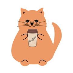 Nice funny fat cat with paper cup of coffee on white background vector illustration 