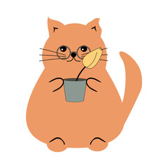 Nice cute cat with a flower on white background vector illustration 