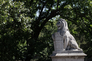 A lion sculpture standing in front of Vajdahunyad Castle in Budapest, Hungary, adding to the historical atmosphere of the site.