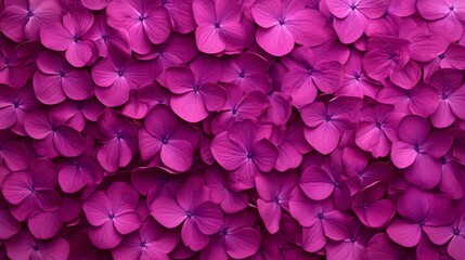 Obraz premium Vibrant purple textured backdrop, rich hues of deep violet and magenta, ideal for creative projects or design elements.