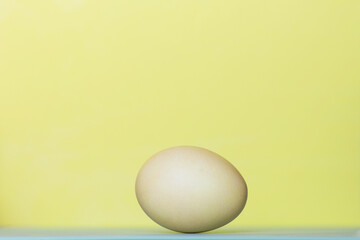 Chicken egg on yellow background, side view. Close-up.