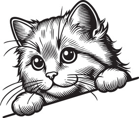 Cat Peek Black Vector Outline