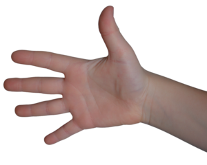 Open hand gesturing for a friendly greeting or invitation