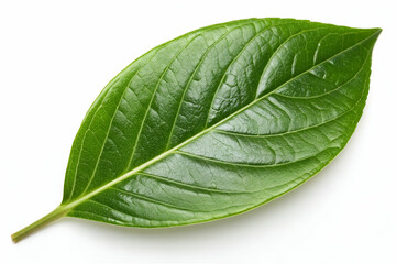 Obraz premium Fresh Green Leaf Isolated on White Background, Perfect for Nature Themes, Botanical Designs, Eco-Friendly Concepts, and Natural Products Displays