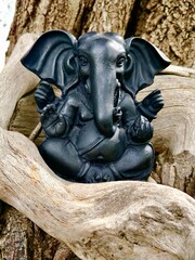 Fototapeta premium A black Ganesha statue sits peacefully among natural wooden roots, symbolizing wisdom, success, and spiritual harmony. The textured wood background enhances the mystic and earthy feel, creating a powe