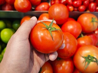 tomatoes in a hand