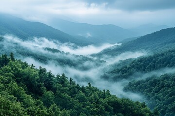 The misty valley shows layers of forested mountains in the distance