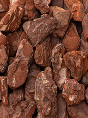 pine bark fraction close up