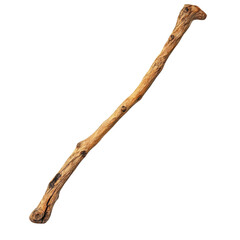 Walking stick with natural texture isolated against a Transparent background showcasing its rustic charm, Walking stick isolated on