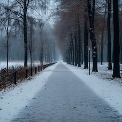 Snowy path, winter park, misty scene, tranquil, travel