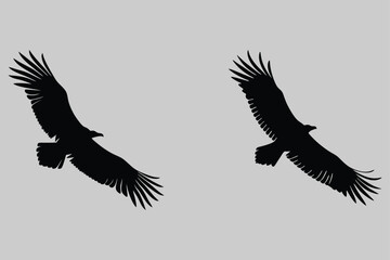 Obraz premium a vulture circling in the sky silhouette vector design art and illustration