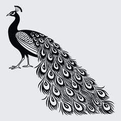 Obraz premium peacock image silhouette design vector art and illustration