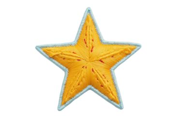 Embroidered Yellow Star Design with Blue Outline for Crafts