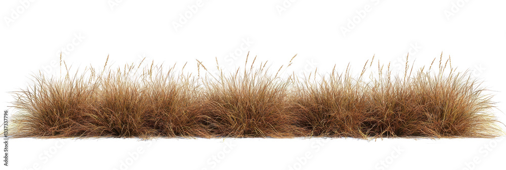 Fototapete savanna grass field row on transparent backgrounds 3d rendering png file