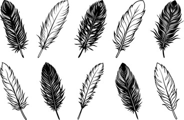 A Set of Fluffy Feather silhouette and Line art Vector Illustration