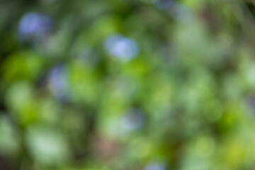 Blurred green and blue background creating relaxing and peaceful atmosphere