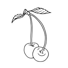 Line sketch, outline of summer cherries. Vector graphics.
