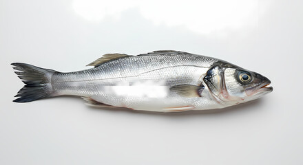 Naklejka premium Fresh Sea Bass, Ready for Culinary Delights