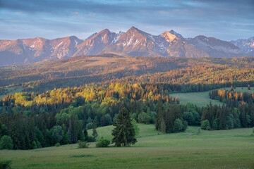 Naklejka premium Mountain Range Overlooking Forest and Fields