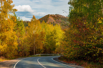 Golden Autumn in the Samarskaya Luka National Park, near the village of Shiryaevo!