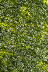 Nori seaweed as a background. Top view.