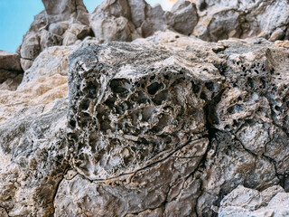 Natural rocky surface with intricate patterns and textures in beige tones, beauty of geological formations