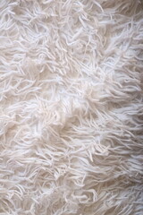A detailed view of a sheep's wool fibers.