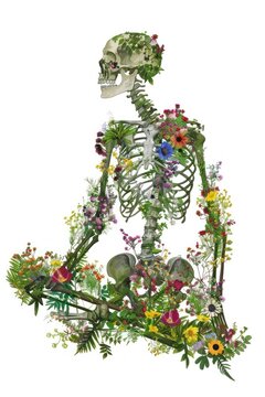 Floral skeleton nature art