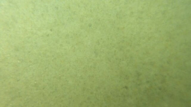 Sand muddle turbulence underwater at the sea bottom, slow motion