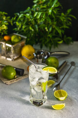Refreshing gin and tonic cocktail with lime and ice cubes on bar counter