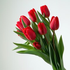 Obraz premium Vibrant red tulips bouquet