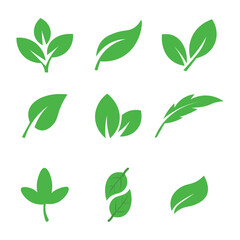 Leaf Vector Set (Top Row, First Image)