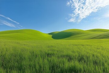 Obraz premium Lush Green Hills Under a Clear Sky Capturing the Beauty of Nature in the Countryside