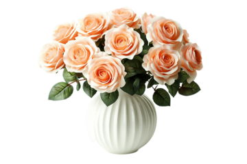 Peach Roses Bouquet in a White Ribbed Vase on a Transparent Background