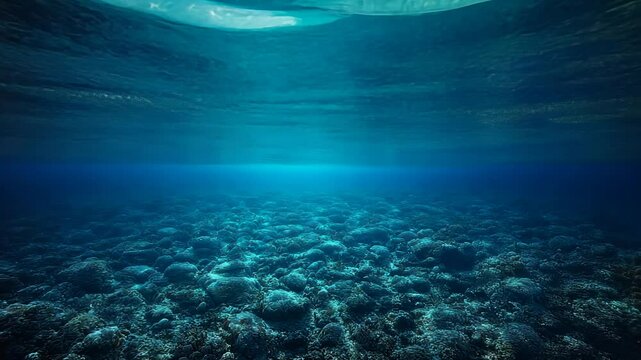 Ocean's Tranquility: A captivating split-level view of the serene ocean surface and the mysterious underwater world.