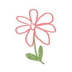 Echinacea flower crayon drawn. Spring plant doodle isolated on white background. Summer floral kids element. Chalk or pastel style childish scrawl wildflower shape. Vector naive illustration by pencil