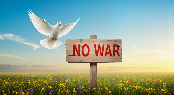 Dove flying above "No War" sign in peaceful meadow