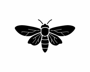 creative details Firefly Icon vector illustration