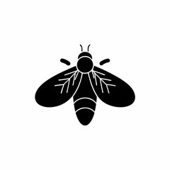 creative details Firefly Icon vector illustration