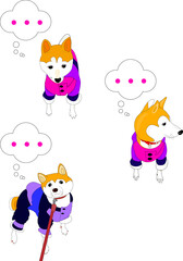 何か考えている柴犬