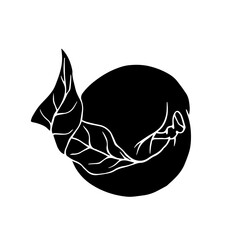 Silhouette,apple fruit stamp.Vector graphics.