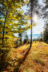 Obraz premium Liptov region Hiking in Tatras mountains to autumn cerenova rock view near Liptovsky Mikulas , slovakia.