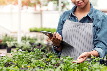 Checking the growth in greenhouse. Smiling african american girl in apron with tablet caring for flowers, free space