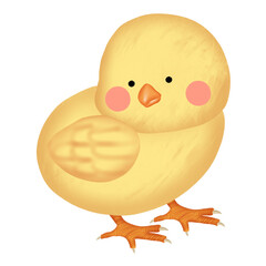 Cute Cartoon Chick illustration