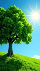 Fototapeta premium Lush green tree, vibrant summer sun, blue sky , background, natural, photography