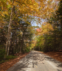 Rural Autumn landscape of a country road with 
colorful trees and grass in Ontario Canada