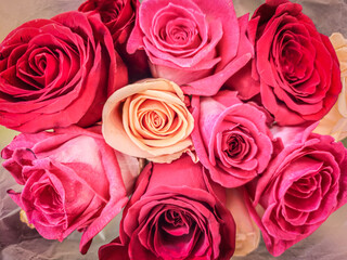 close-up of multi-color roses bouquet for anniversary birthday valentine's day special occasion festive beautiful red orange peach yellow background