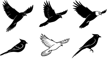 Obraz premium Bird Coloring Filled Vector Set Illustration